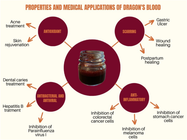 The Remarkable Benefits of Dragon Blood: Nature’s Gift for Skin and Health